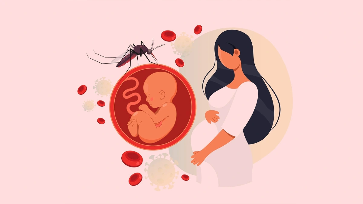 Rising Zika Virus Cases in Pune Affecting Senior Citizens and Pregnant Women