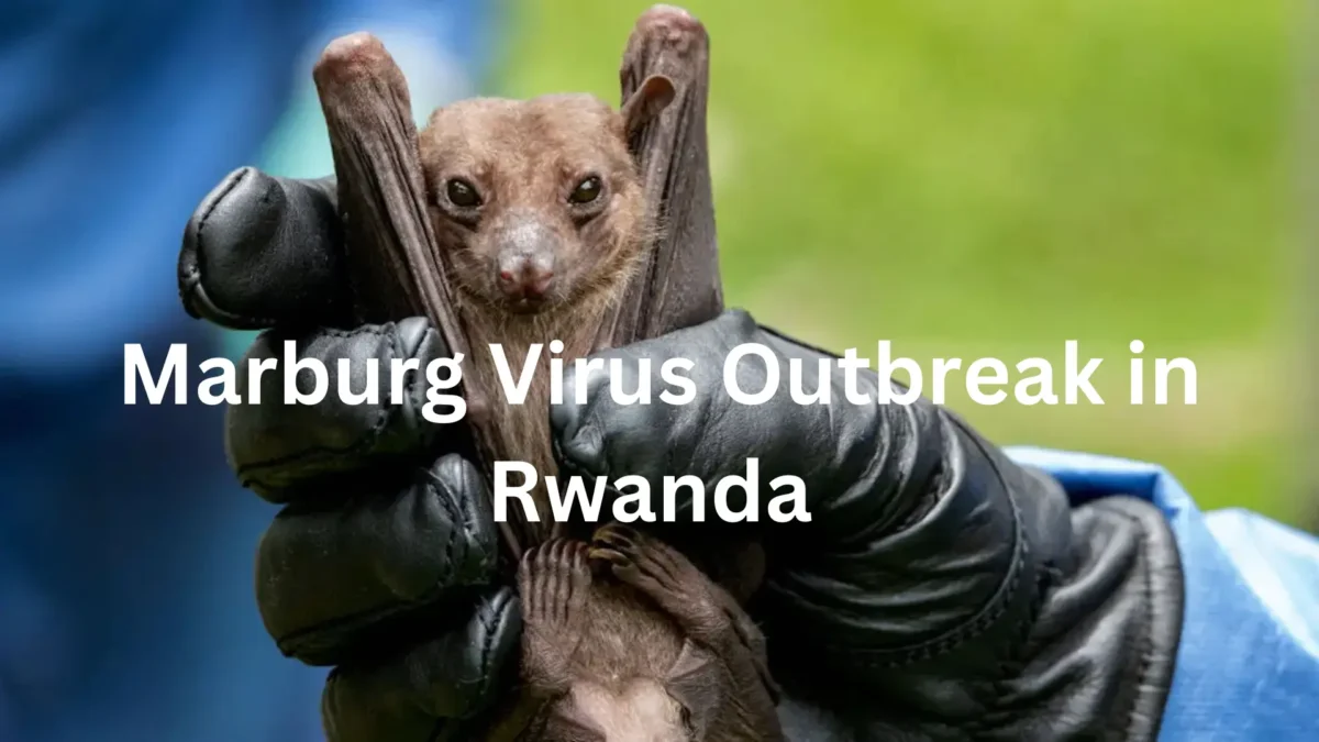 Marburg Virus Outbreak in Rwanda