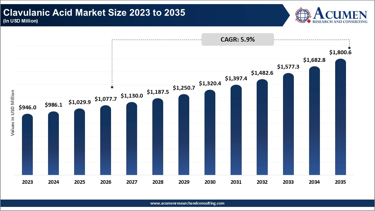 Clavulanic Acid Market Revenue, Trends, and Strategic Insights by 2035 1 Clavulanic Acid Market