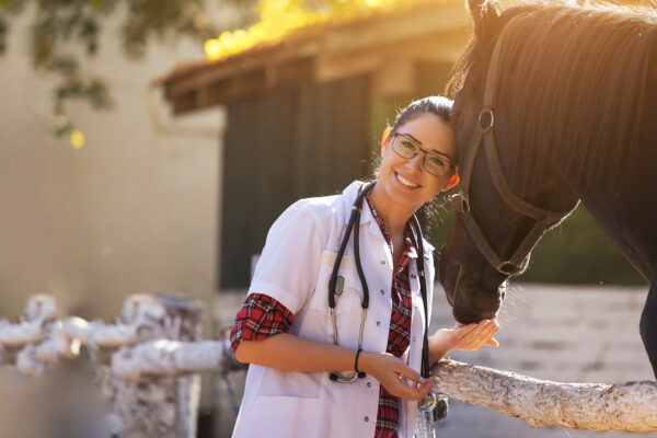 Equine Healthcare Market