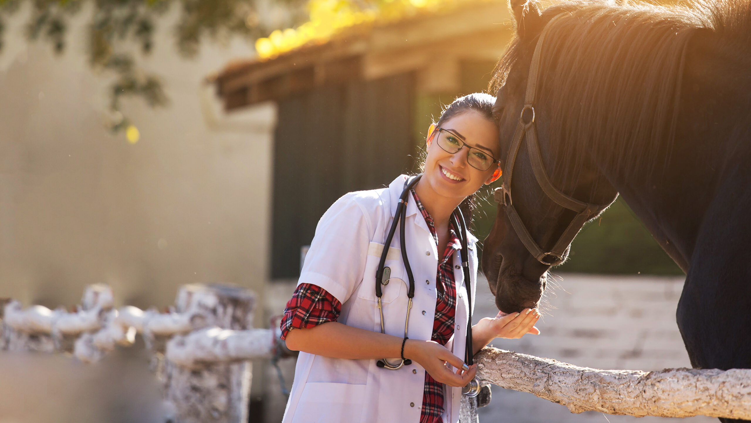 Equine Healthcare Market