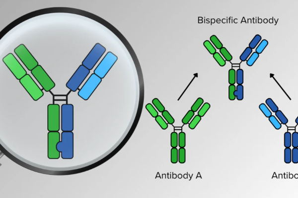 Bispecific Antibodies Market