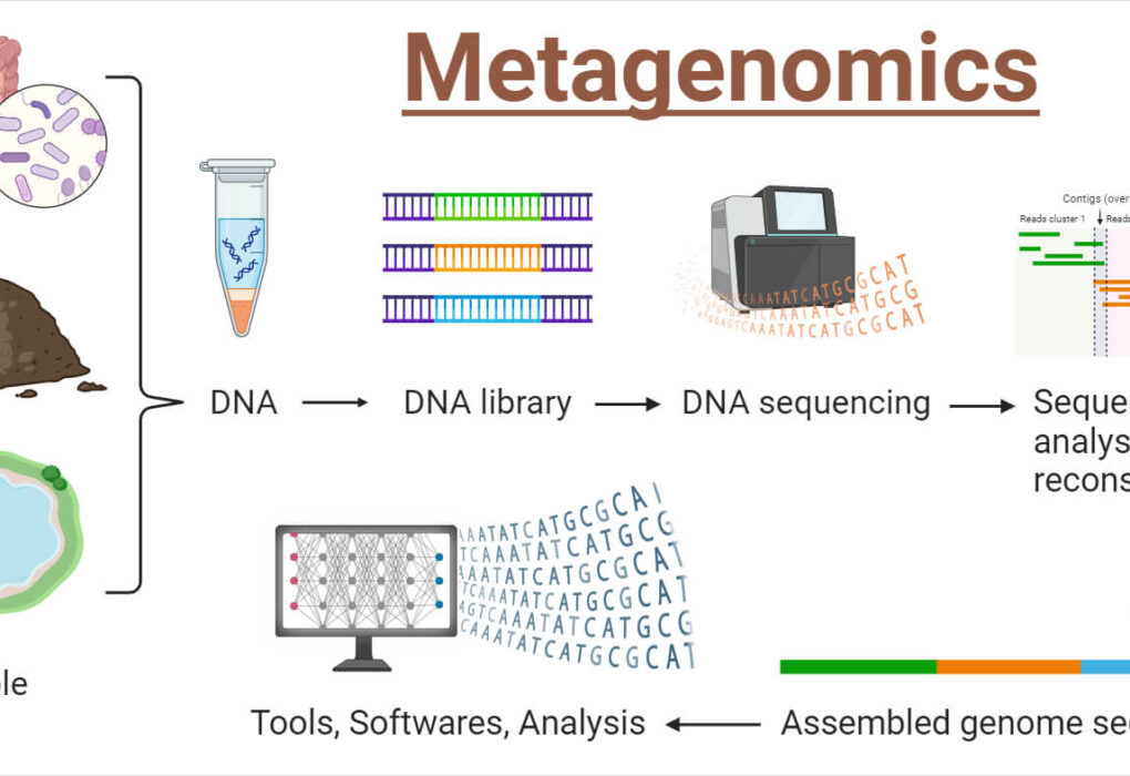 Metagenomics Market