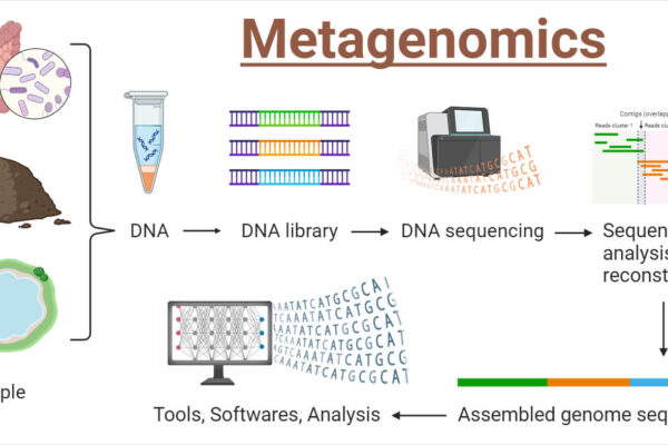 Metagenomics Market