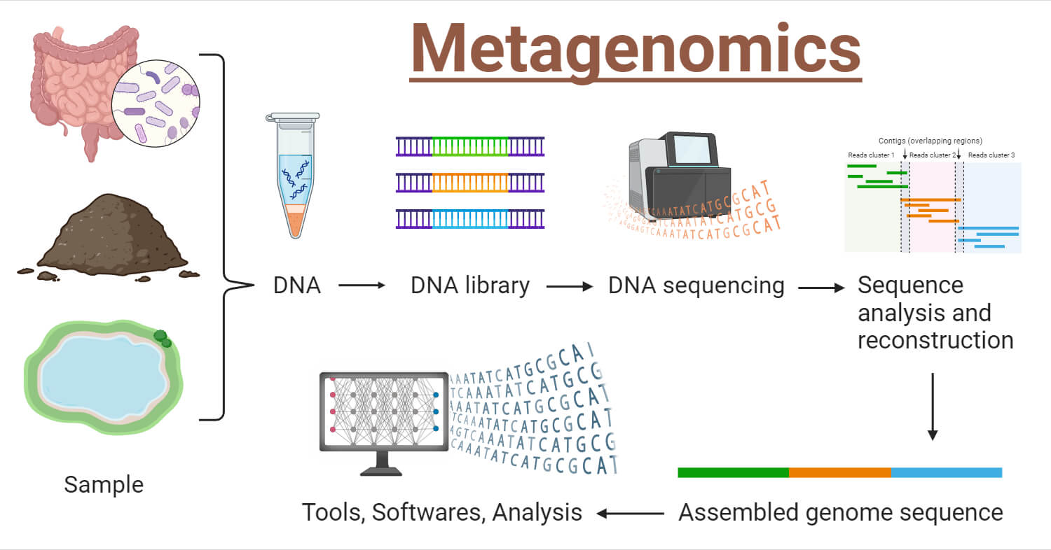Metagenomics Market