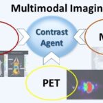 Multimodal Imaging Market