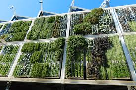 Vertical Garden Construction Market