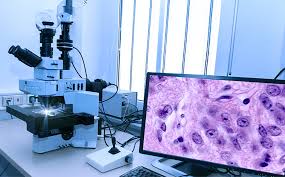Digital Pathology Market