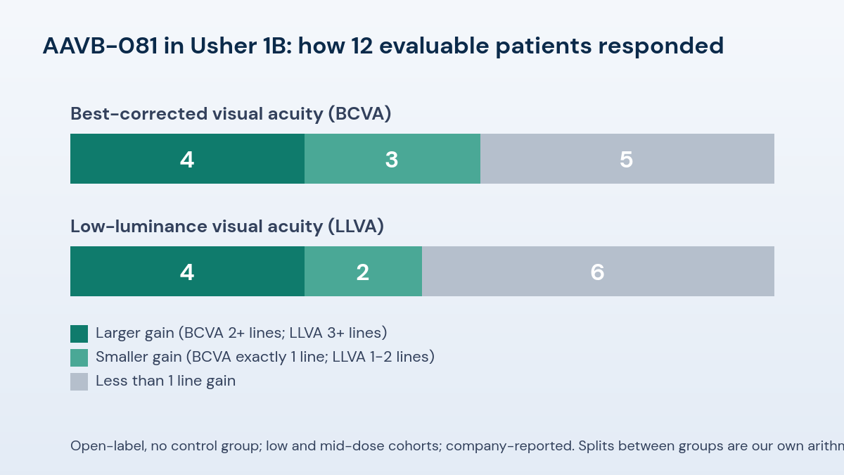 AAVantgarde Reports Updated Gene Therapy Data for Usher Syndrome and Stargardt Disease 2 Stacked bars for 12 evaluable patients: BCVA gains of two or more lines in 4, exactly one line in 3, and under one line in 5; LLVA gains of three or more lines in 4, one to two lines in 2, and under one line in 6