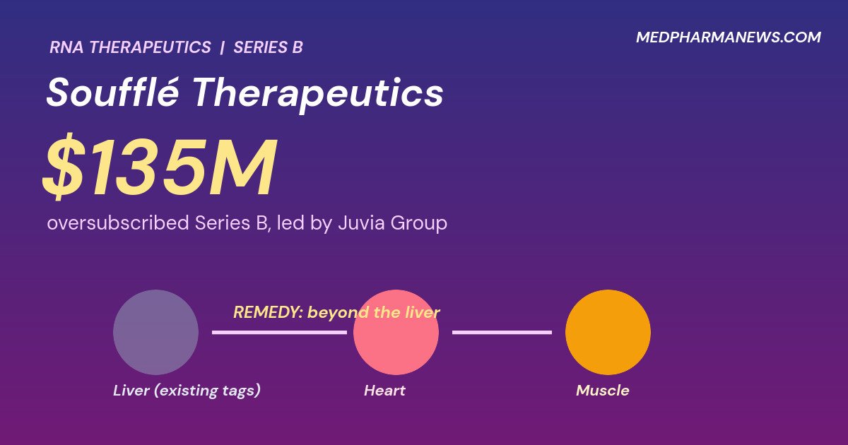 Graphic: Soufflé Therapeutics $135 million funding, RNA delivery arrows pointing from the liver toward the heart and muscle with a $135M Series B label